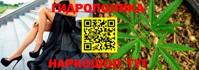 гидра Кингисепп