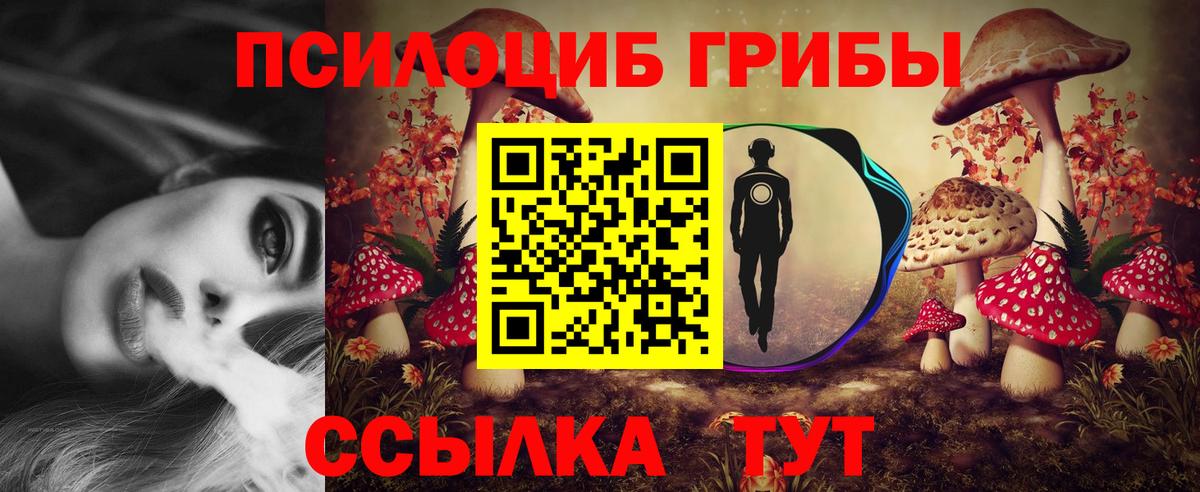 Галлюциногенные грибы прущие грибы  Вход с VPN  Зима 